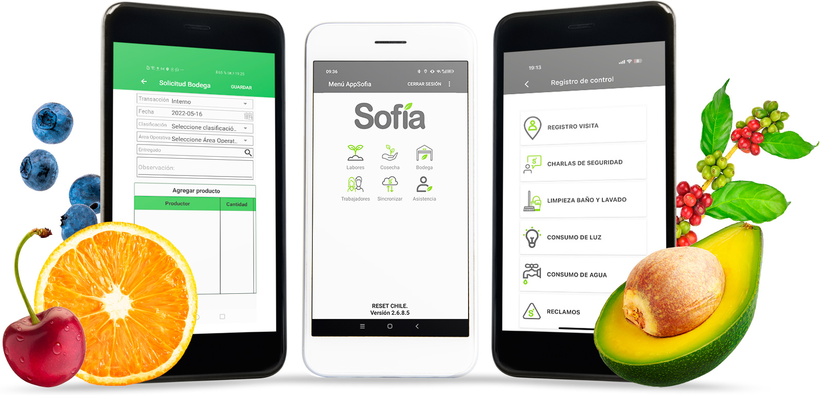Aplicación Sofía, IOS, Andriod, Huawei, APK